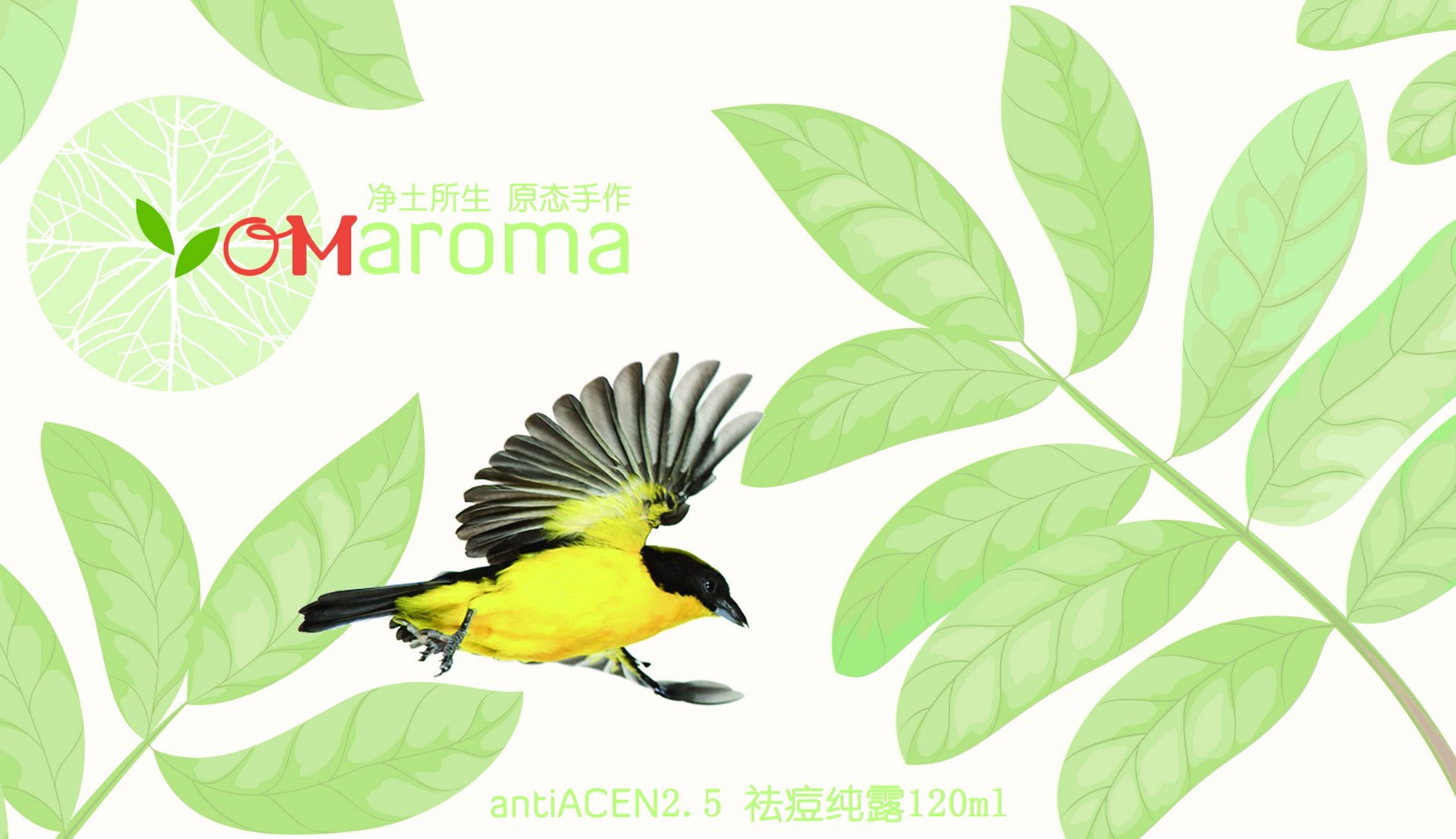 OMaroma 微信课堂听书网