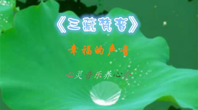 包老师系列听书网