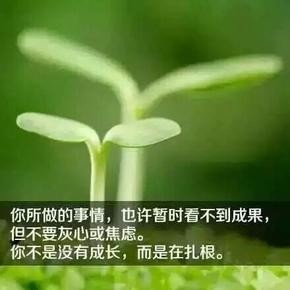 陈婉芬认知的事业听书网