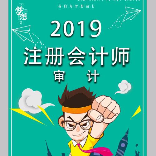 2019年注册会计师-审计听书网