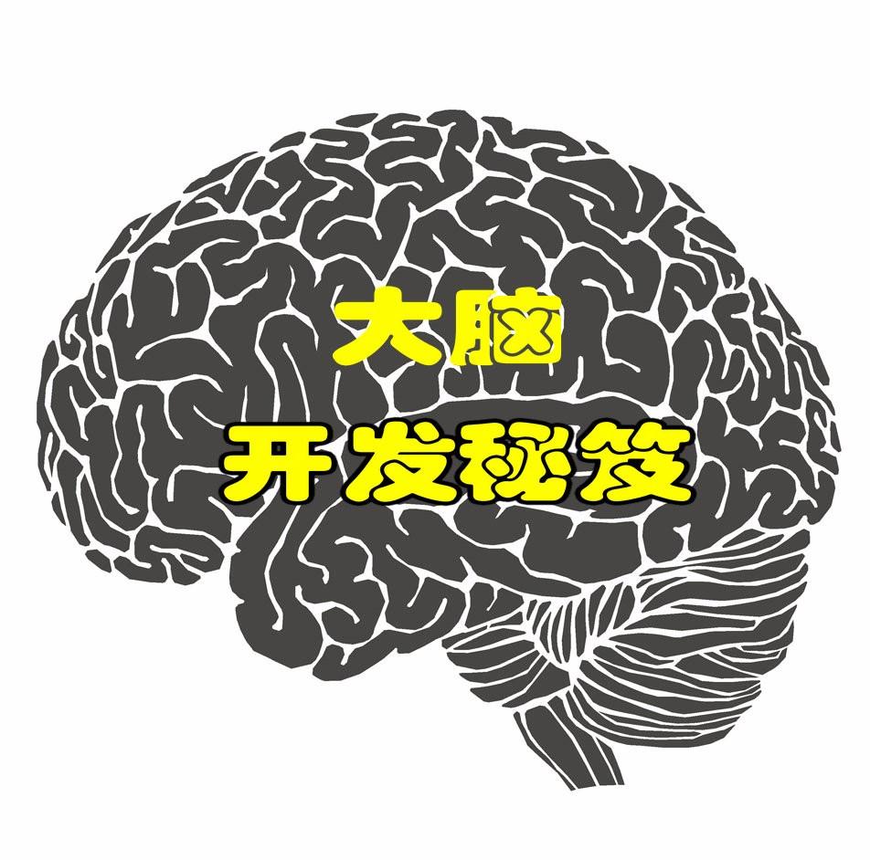 大脑开发秘册听书网