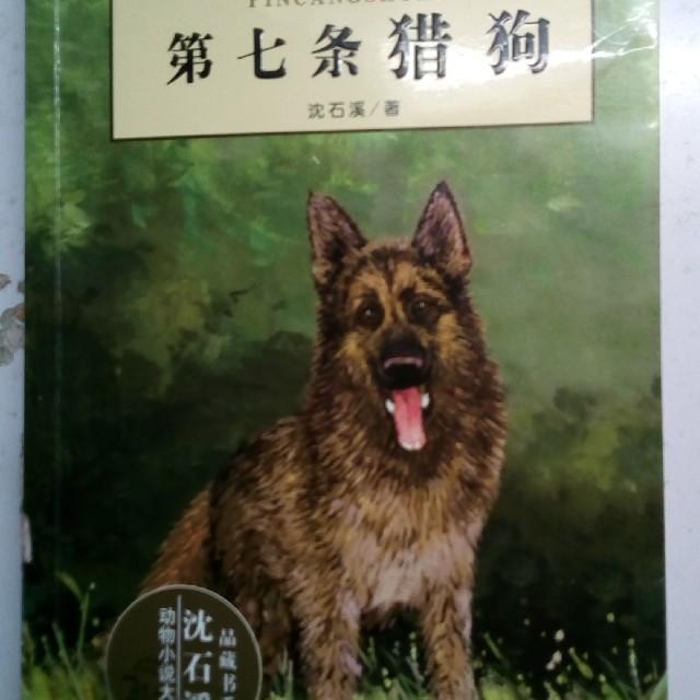 第七条猎狗听书网