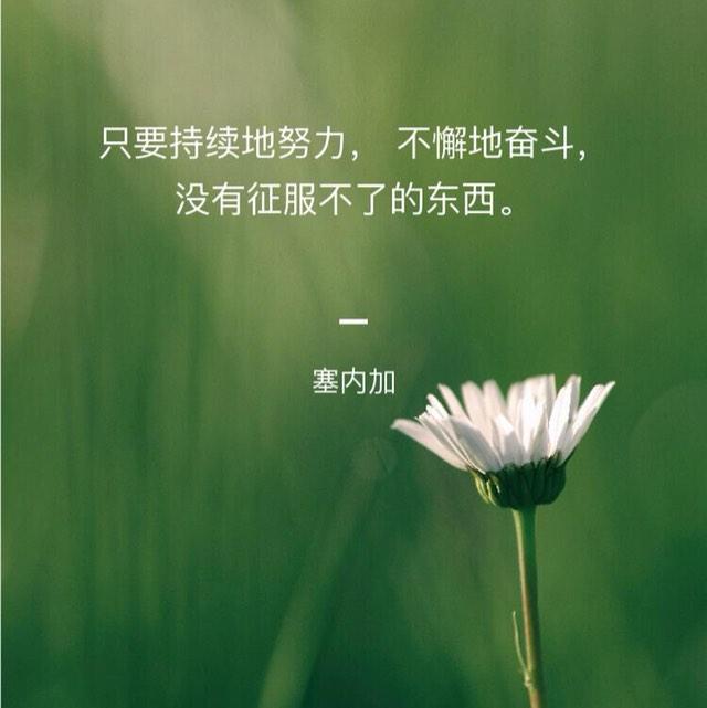 知识竞赛听书网