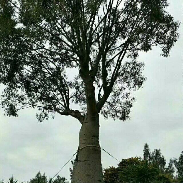 民间‖真人离奇经历听书网