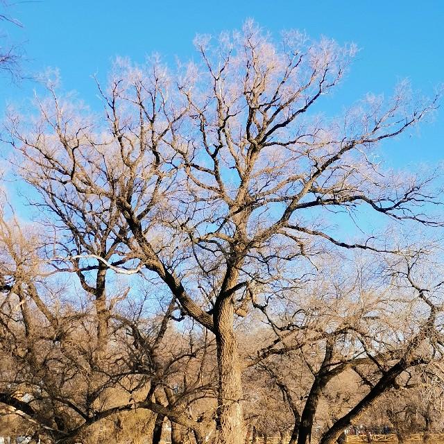 我读《雪莱散文》听书网