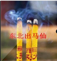 我是东北出马仙听书网