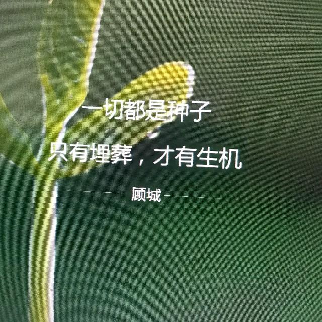 人力资源管理概论听书网